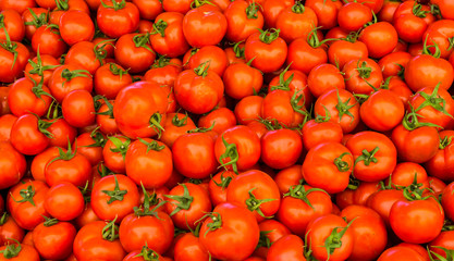 group of red tomatoes