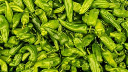 green peper chili. background