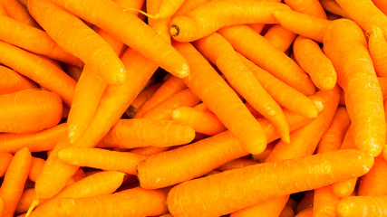organic food carrot. background