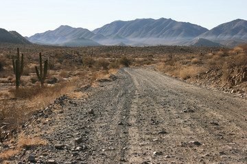 Long distance cycling on remote and deserted gravel roads, Sonoran Desert, Baja California Norte,...
