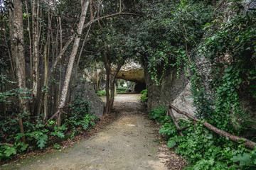 Tourist alley in ancient quarry, Neapolis Archaeological Park in Syracuse, Sicily Island of Italy