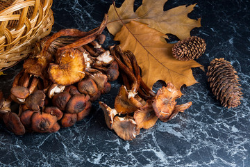 Wild mushrooms on black marble background.