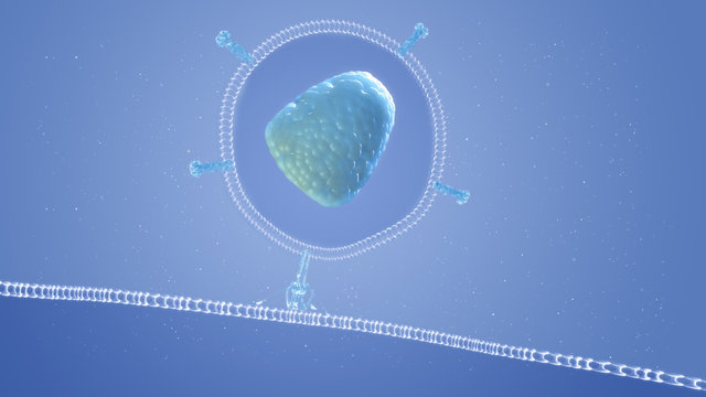 HIV cell entry trancytosis. http://www.polymime.com