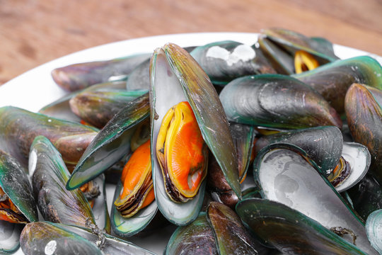 Closed up of Steam Mussels in white dish.
