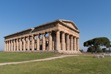 Fototapeta na wymiar Temple of Paestum Archaeological site, Italy