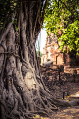 Buddha Head in a tree at Ayutthaya