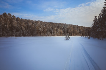 Siberian winter landscape with taiga