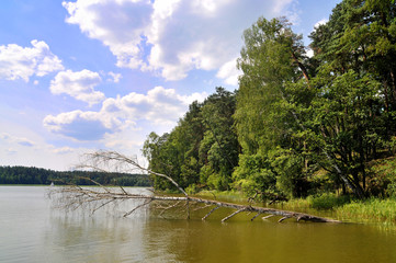 Fototapeta premium Mazury