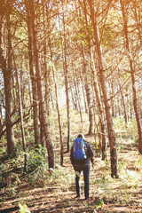 Fototapeta premium Men travel in pine forest.