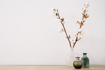 Front view of cotton branches and beauty stylish vase at white background. Minimalistic decorated...