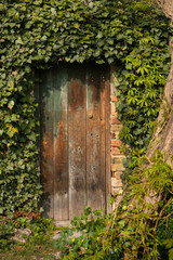 Romantic garden wooden door richly planted around