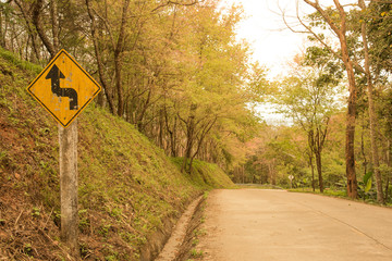 Winding road sign with sunlight