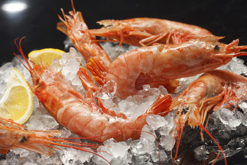 The scrolls lie on ice, on a black background, an elective focus