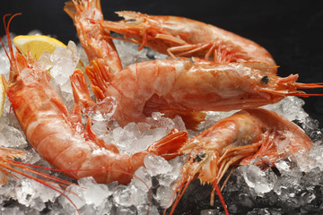 The scrolls lie on ice, on a black background, an elective focus