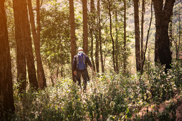 Young man walking in the pine forset for go to target.