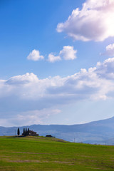 Obraz premium old house and cypresses