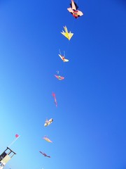 Colors in the wind