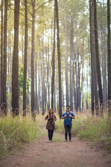 An Asian young adult couple traveling in pine forest, Thailand