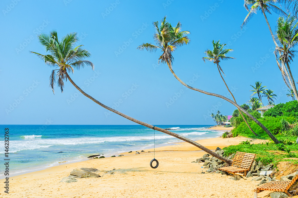 Canvas Prints The tyre swing on the beach