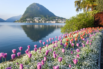 View at the bay of Lugano from the botanical garden