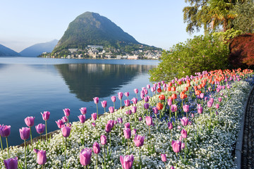 View at the bay of Lugano from the botanical garden