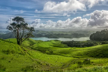  Northland landscape, New Zealand © Martin Capek
