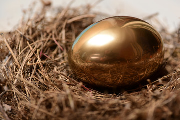 bird nest with traditional painted golden egg on wood, treasure