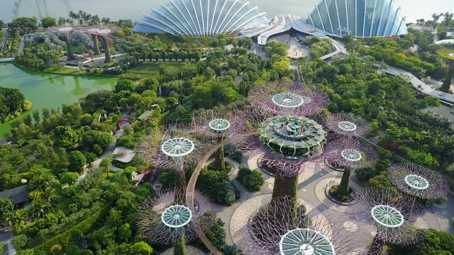 4k erial fly-over view of Gardens By The Bay, Singapore. Featuring Supertree Grove, Cloud Forest and Flower Dome