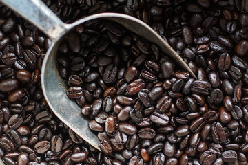 Roasted coffee beans