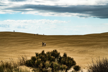 Outer Banks, NC sand dunes