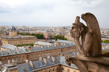 Gargoyle of the Notre Dame cathedral, Paris, France