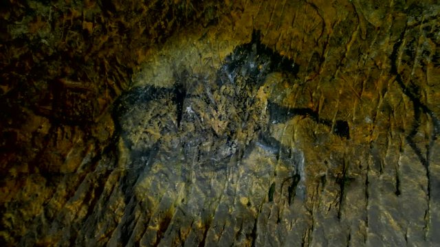 Discovery of prehistoric paint of horse in sandstone cave. Spotlight shines on historical human painting. Black carbon horses on sandstone wall. Paint of hunting, prehistoric picture 
