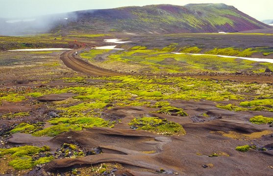 Tundra mit Palagonitstrukturen, Steinen, Moos und anderer, karger Vegetation am Fu&szlig; des Sn&aelig;fellsj&ouml;kull, Touristen wandern auf Piste, Halbinsel Sn&aelig;fellsnes, Island/ Iceland, Europa 