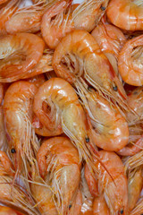 Many boiled shrimps closeup