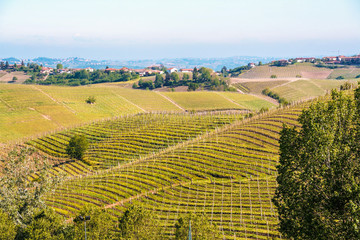 Landscape of Langhe