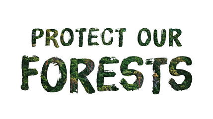 Protect our forests concept on white background