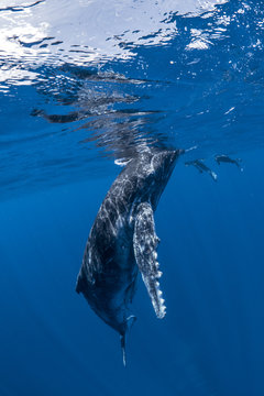 How ids it the other side  ?