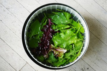 Freshly picked salad greens being washed in a salad spinner bowl