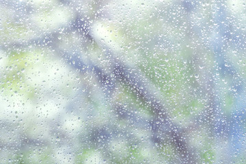 Rain drops on window glass. Blur background green nature in spring