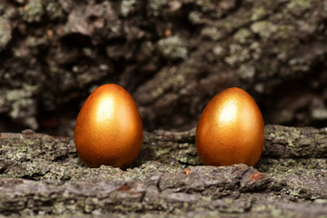 tree bark with traditional easter golden eggs on wood, antique