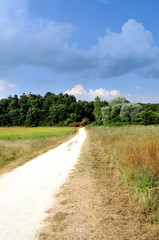 Fototapeta na wymiar Path in the Tuscan countryside, near Siena Italy