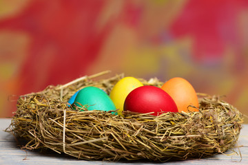 painted easter eggs in bird nest on colorful background