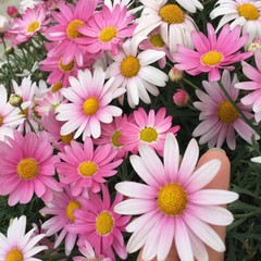 pink fowers
