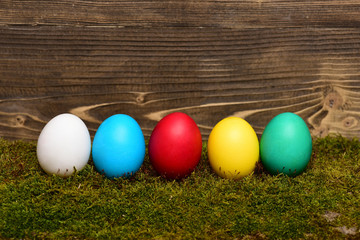 painted easter colorful eggs with green moss on wooden background