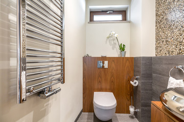 Functional bathroom with toilet