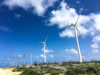 windmills