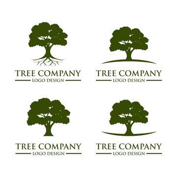 Tree Logo Design Vector Template