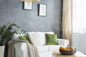 Cozy living room