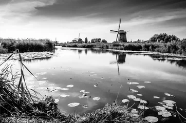 Papier Peint photo autocollant Moulins Black and white Dutch landscape