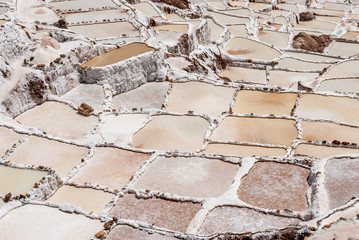 saline incas